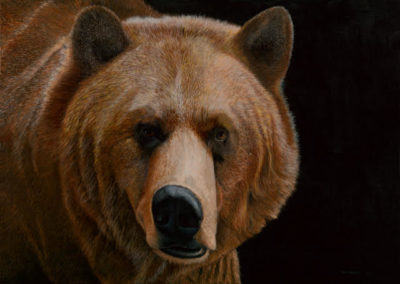 "Bear" by David Bender