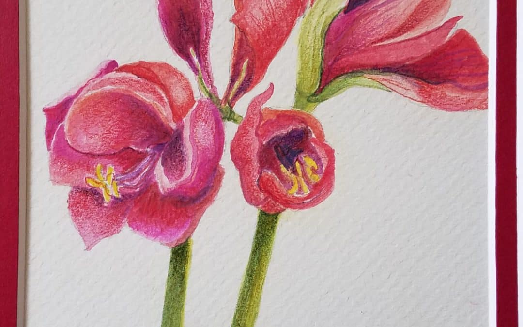 Workshop – Botanical Portraiture