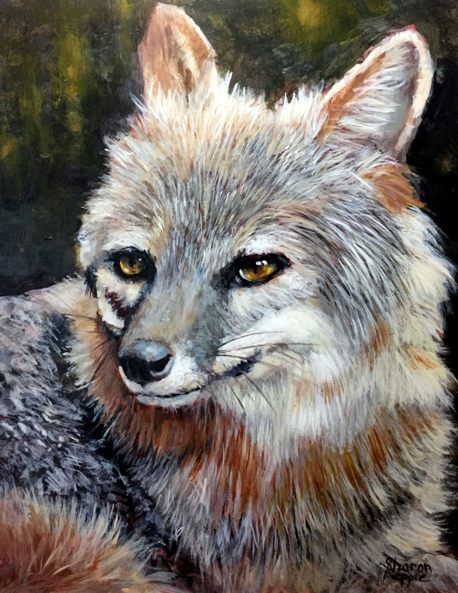 Workshop - Painting Eyes and Fur