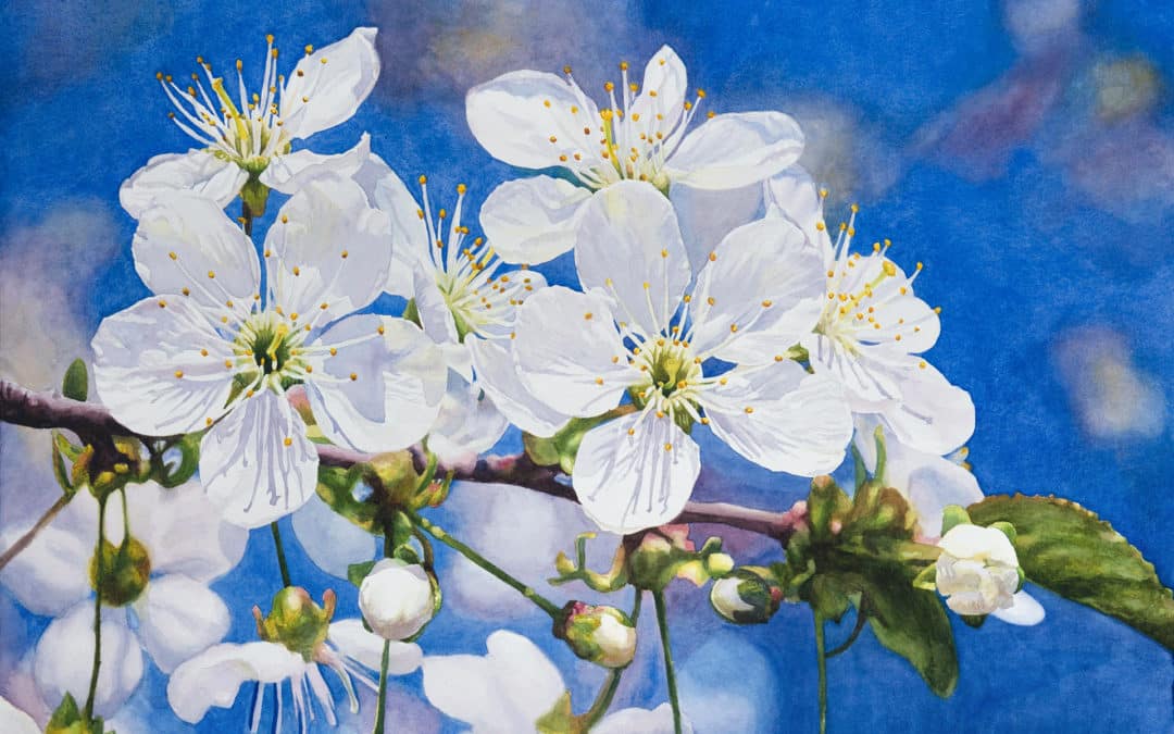 Florida Watercolor Society Exhibition