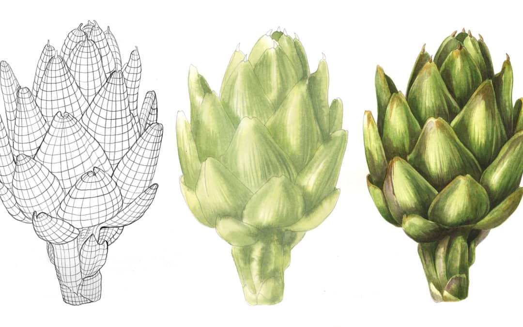 Workshop – Botanical Watercolor