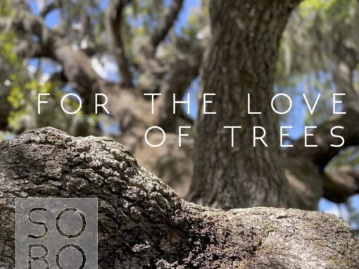 For The Love of Trees