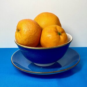 Colored Pencil Workshop - Mary Beth Lesko